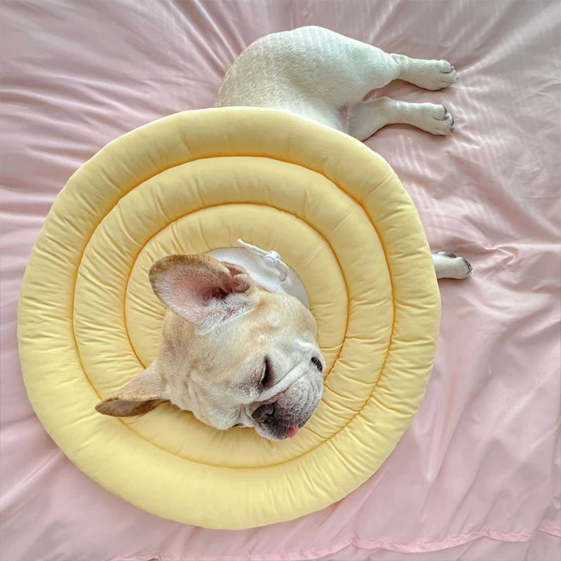 Guangdong Elizabethan Collar For Dogs And Cats Soft Cone