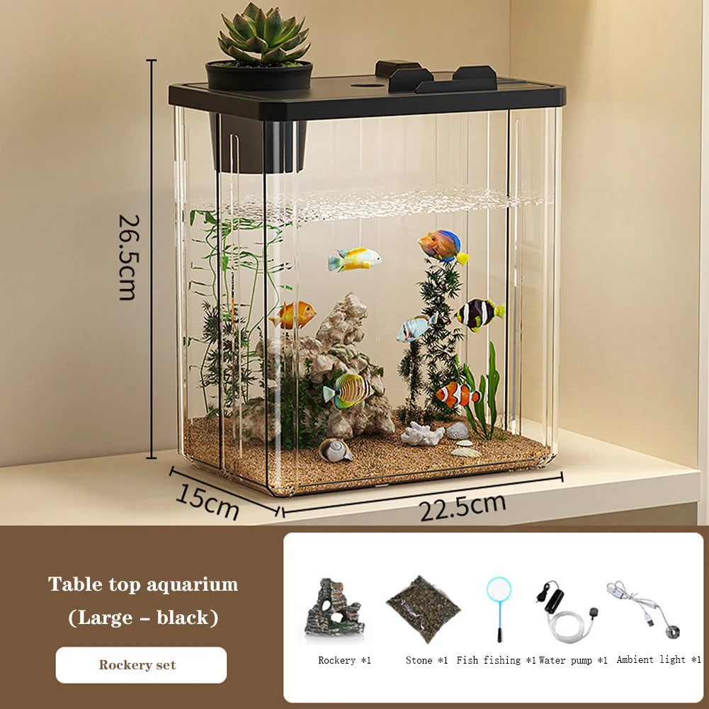 Compact Desktop Fish Tank Starter Kit With Pump LED Light