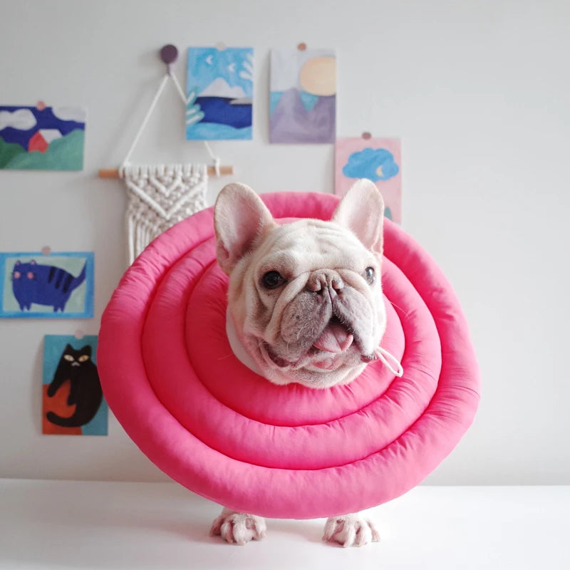 Guangdong Elizabethan Collar For Dogs And Cats Soft Cone