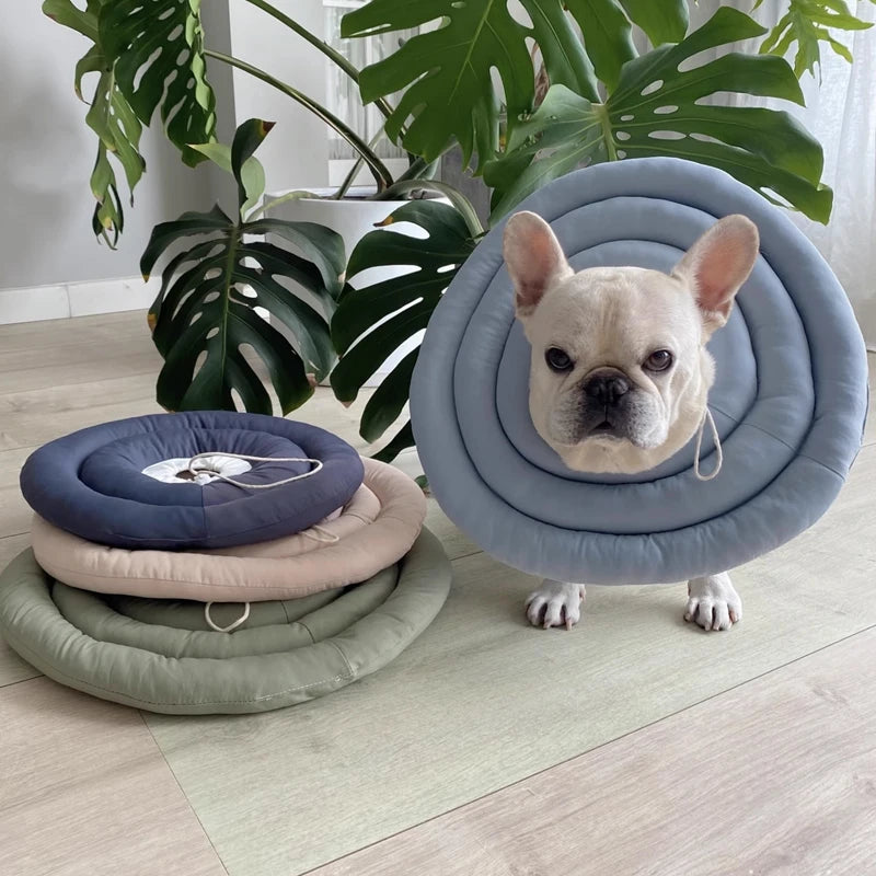 Guangdong Elizabethan Collar For Dogs And Cats Soft Cone