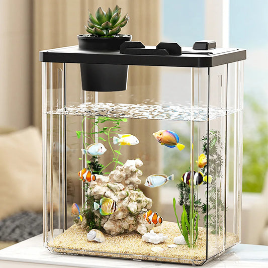 Compact Desktop Fish Tank Starter Kit With Pump LED Light