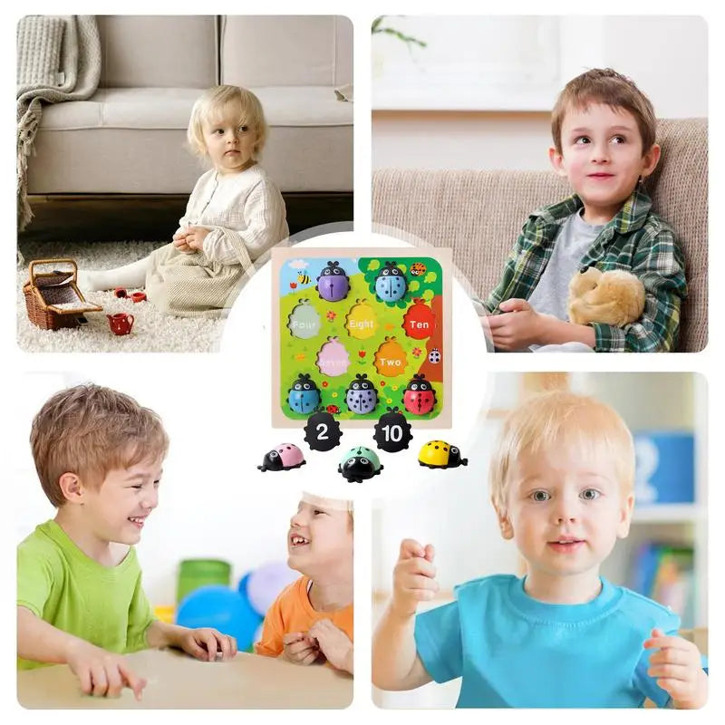 Number Matching Game 1-10 Wooden Ladybugs Toy For Kids