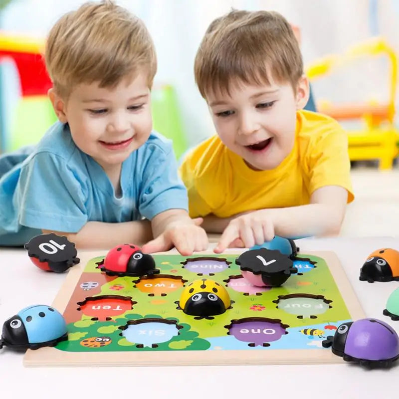 Number Matching Game 1-10 Wooden Ladybugs Toy For Kids